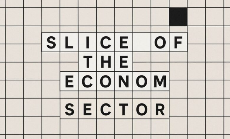 Slice of the Economy NYT