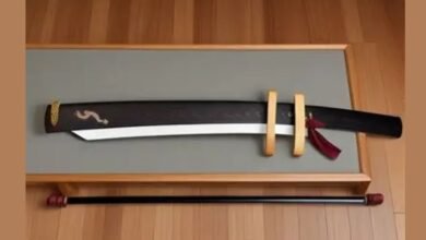 blade sheathed in a saya nyt