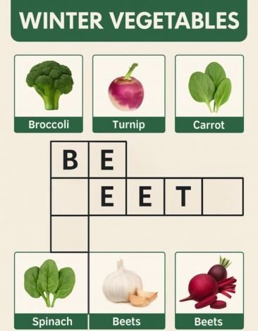 homophone for a winter vegetable