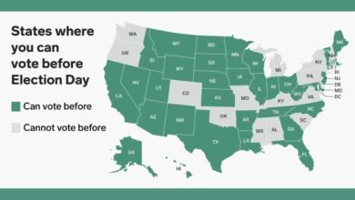 voting districts nyt