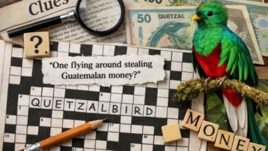 One Flying Around Stealing Guatemalan Money Crossword Clue