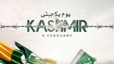 kashmir day