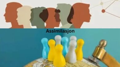 Assimilasjon