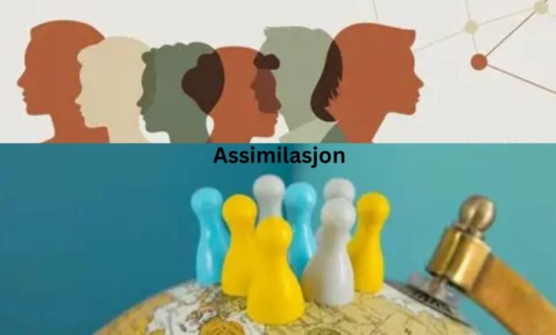 Assimilasjon
