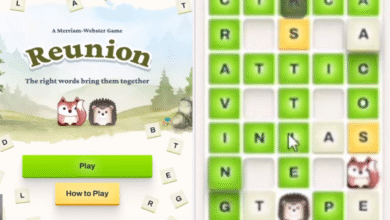 reunion game
